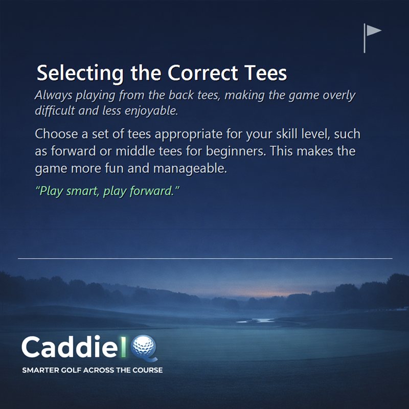 Unlock More Fun: Choose the Right Golf Tees for Your Game