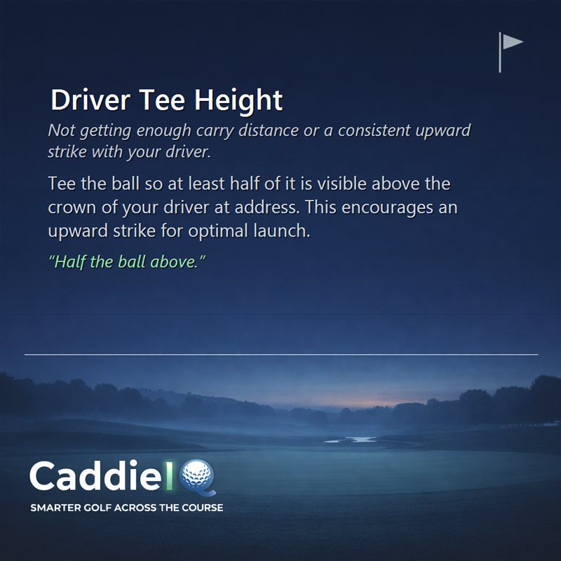 Unlock Driver Distance: Master Tee Height for Optimal Launch