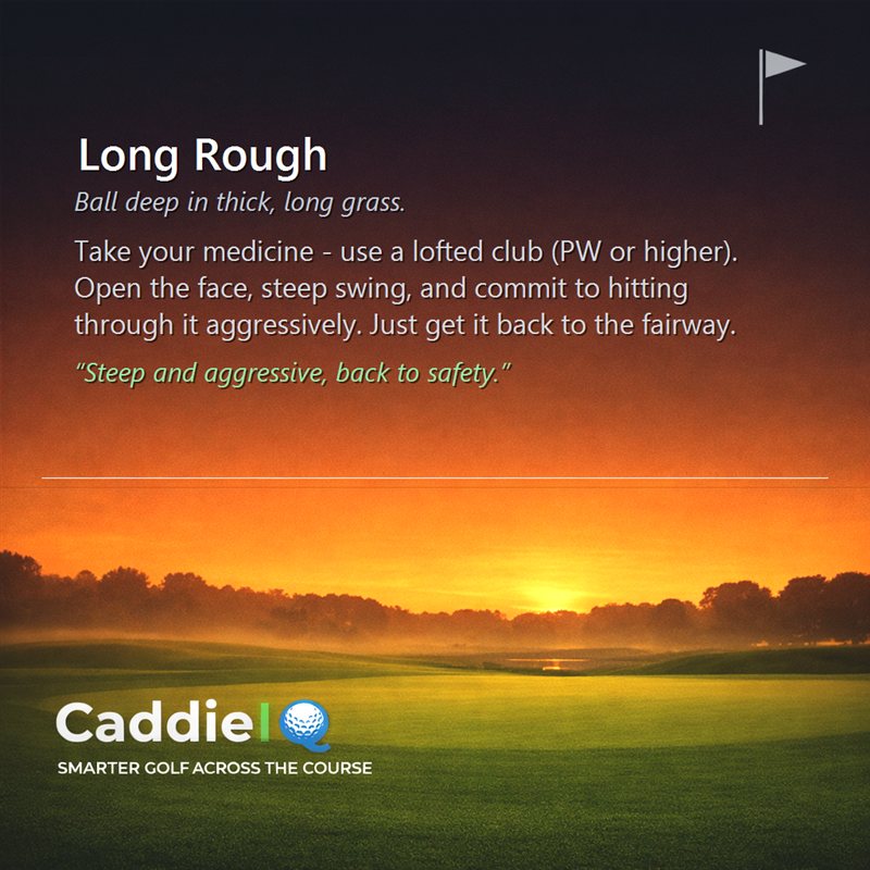 Escape Long Rough: Golf's Toughest Lie Mastered