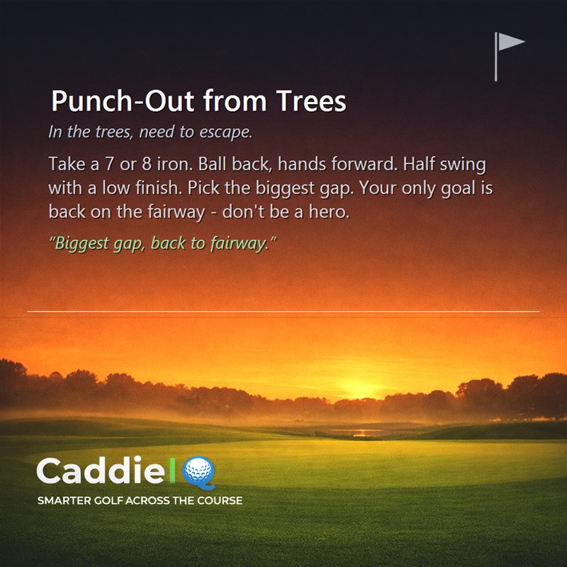 Escape the Trees: Master the Golf Punch-Out Shot