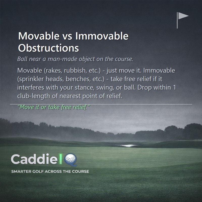 Golf Rules: Movable vs. Immovable Obstructions Explained