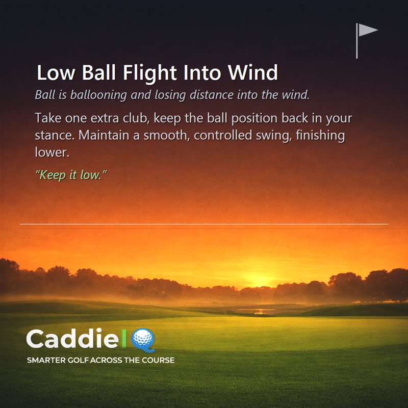 Beat the Wind: Hit Low Golf Shots for More Distance