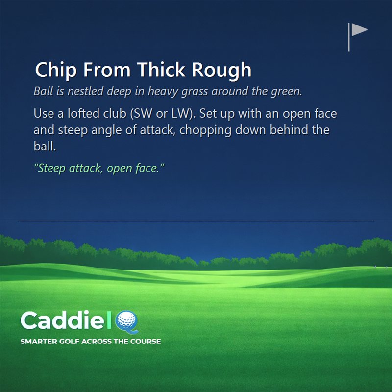 Master Chipping from Thick Rough: Your Guide to Clean Strikes