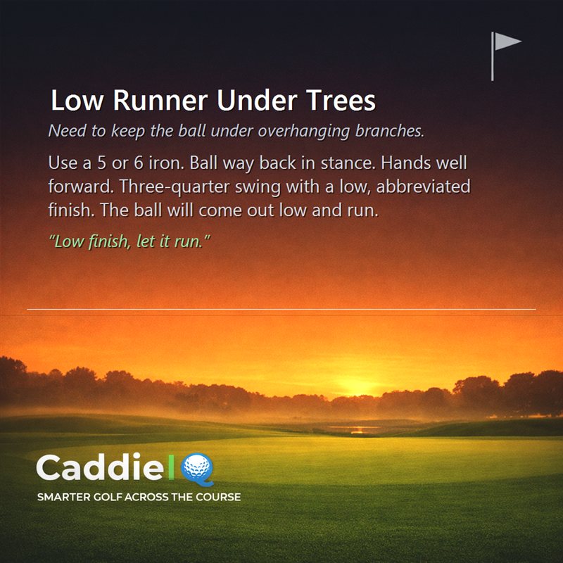Master the Low Runner: Escape Trees with Precision