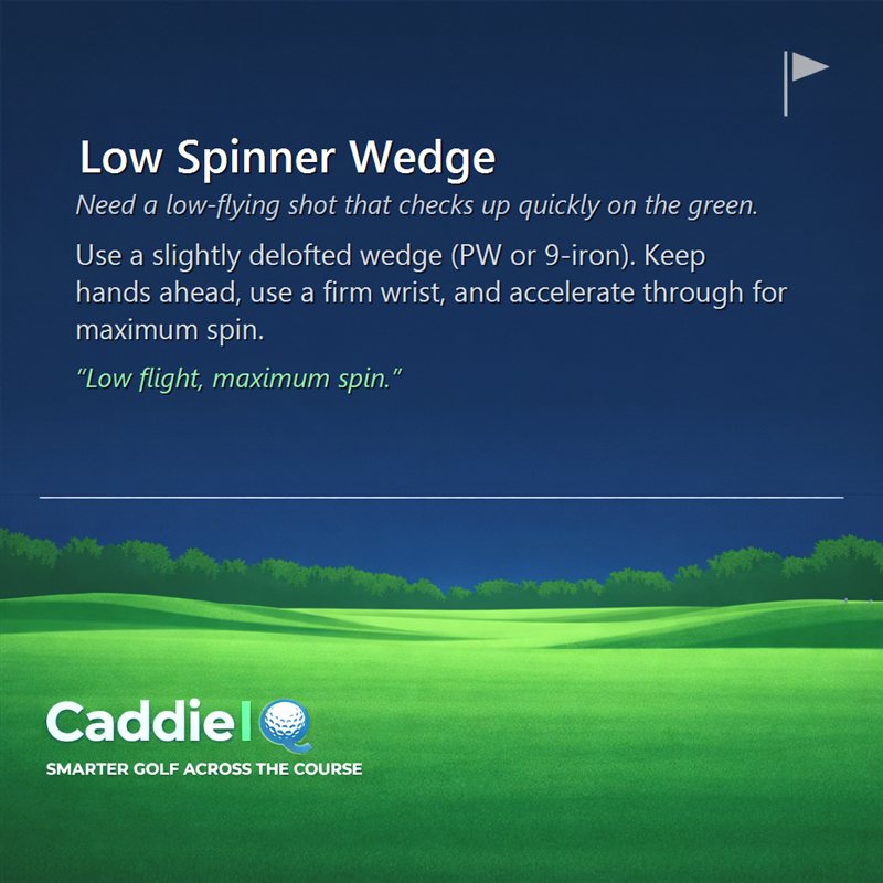 Master the Low Spinner Wedge for Pin-Point Control