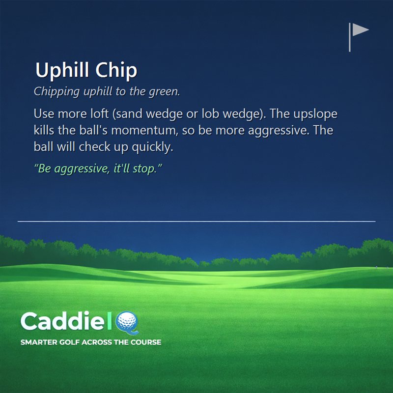 Master Uphill Chips: Stop Your Golf Ball Dead Near the Pin