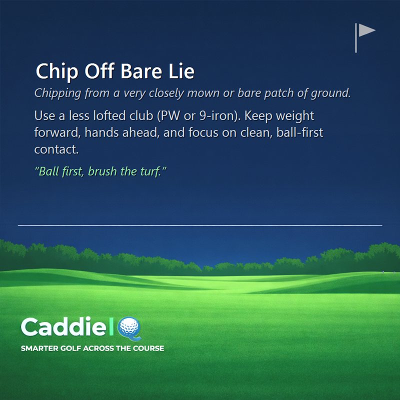 Mastering the Bare Lie Chip: Your Guide to Clean Contact