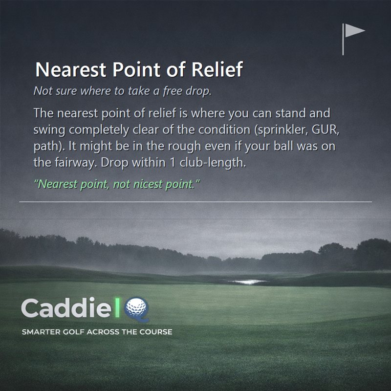Mastering Nearest Point of Relief: Your Free Drop Guide