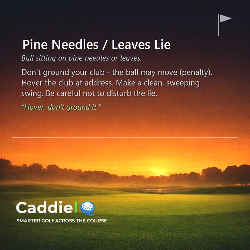 Pine Needle Lies: Master Your Strike from Debris