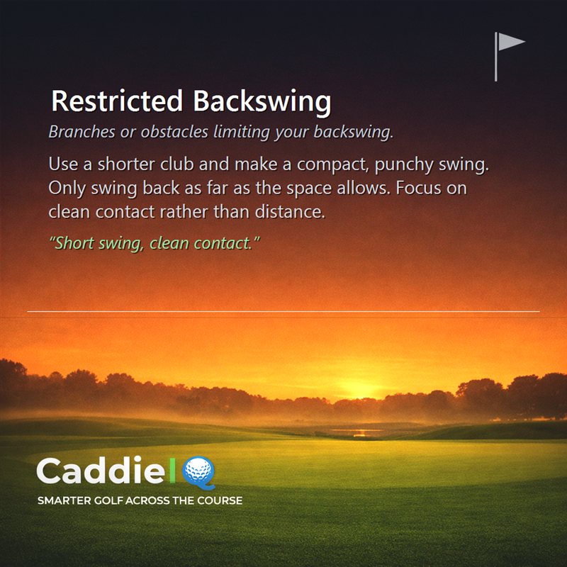 Mastering the Restricted Backswing: Obstacles No Match